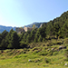 Corbera