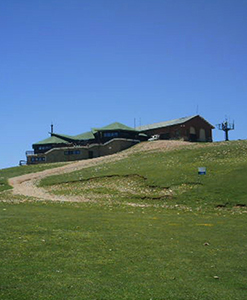 niu d'àligues