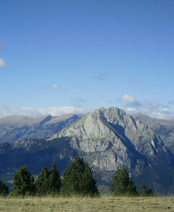 Ensija