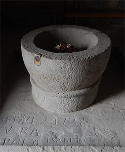 Pica beneïtera