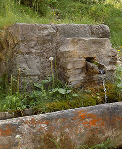 Font del Faig - Falgars