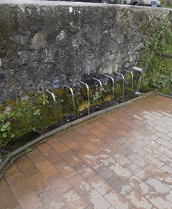 Font de la Basseta - Cercs