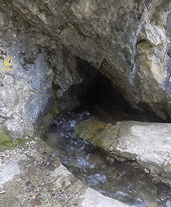 Font Gran Cercs