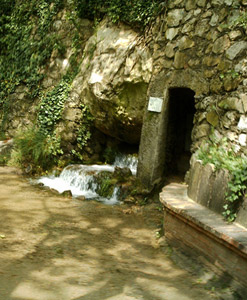 font negra