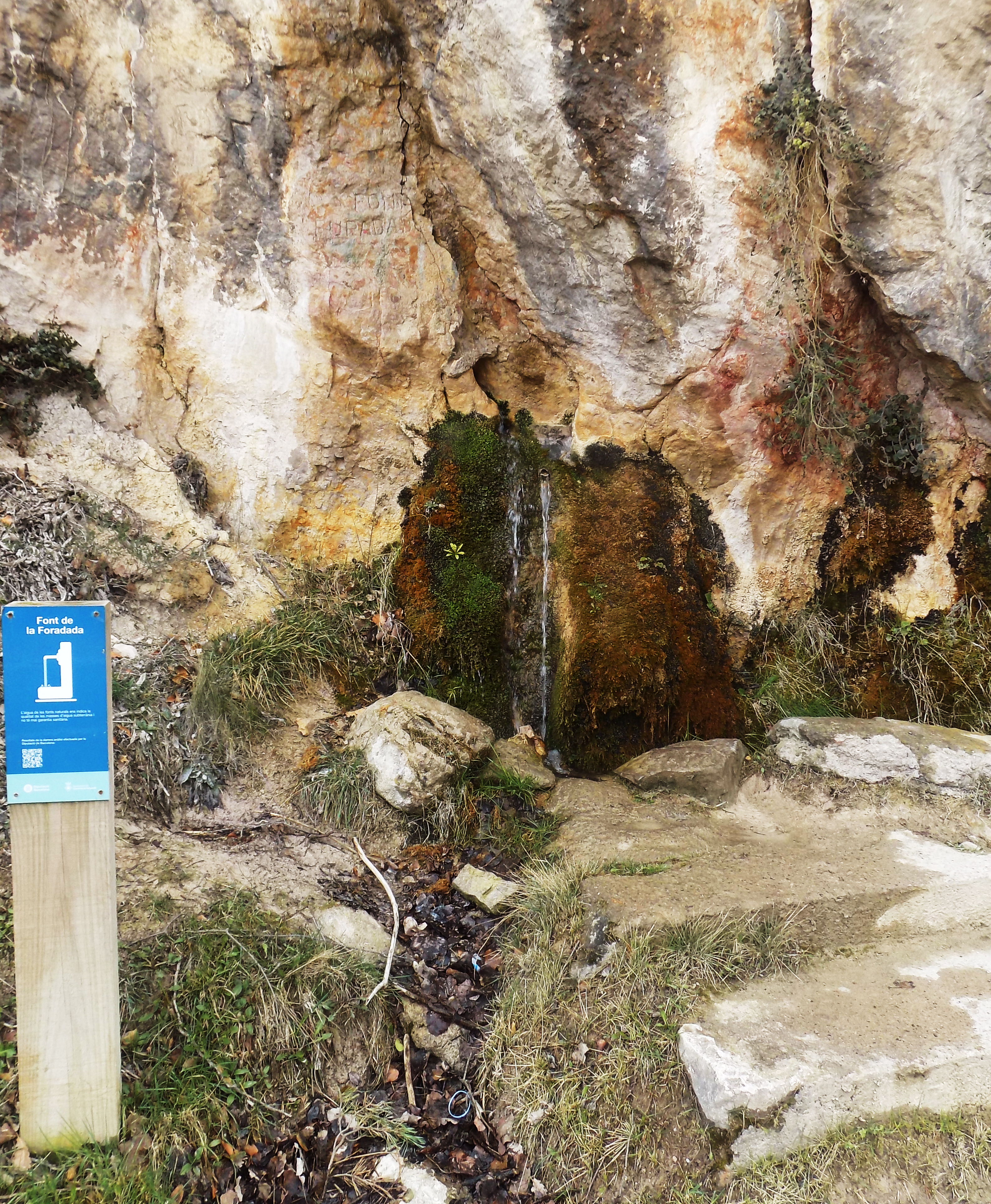 Font de la Foradada - ctra Saldes