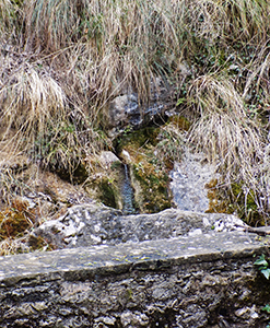 Font del Guiu - Berga