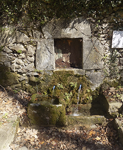 Font de Paller - Bagà