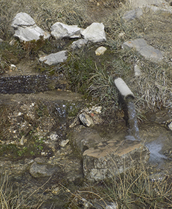 Font dels Porxos - Rasos