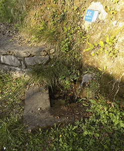 Font del Sàlic - La Nou de Berguedà