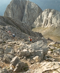 Anant a la tartera
