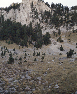 Vistes del camí