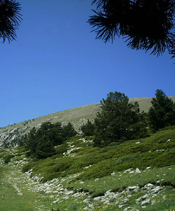 Sortint del coll de Colell