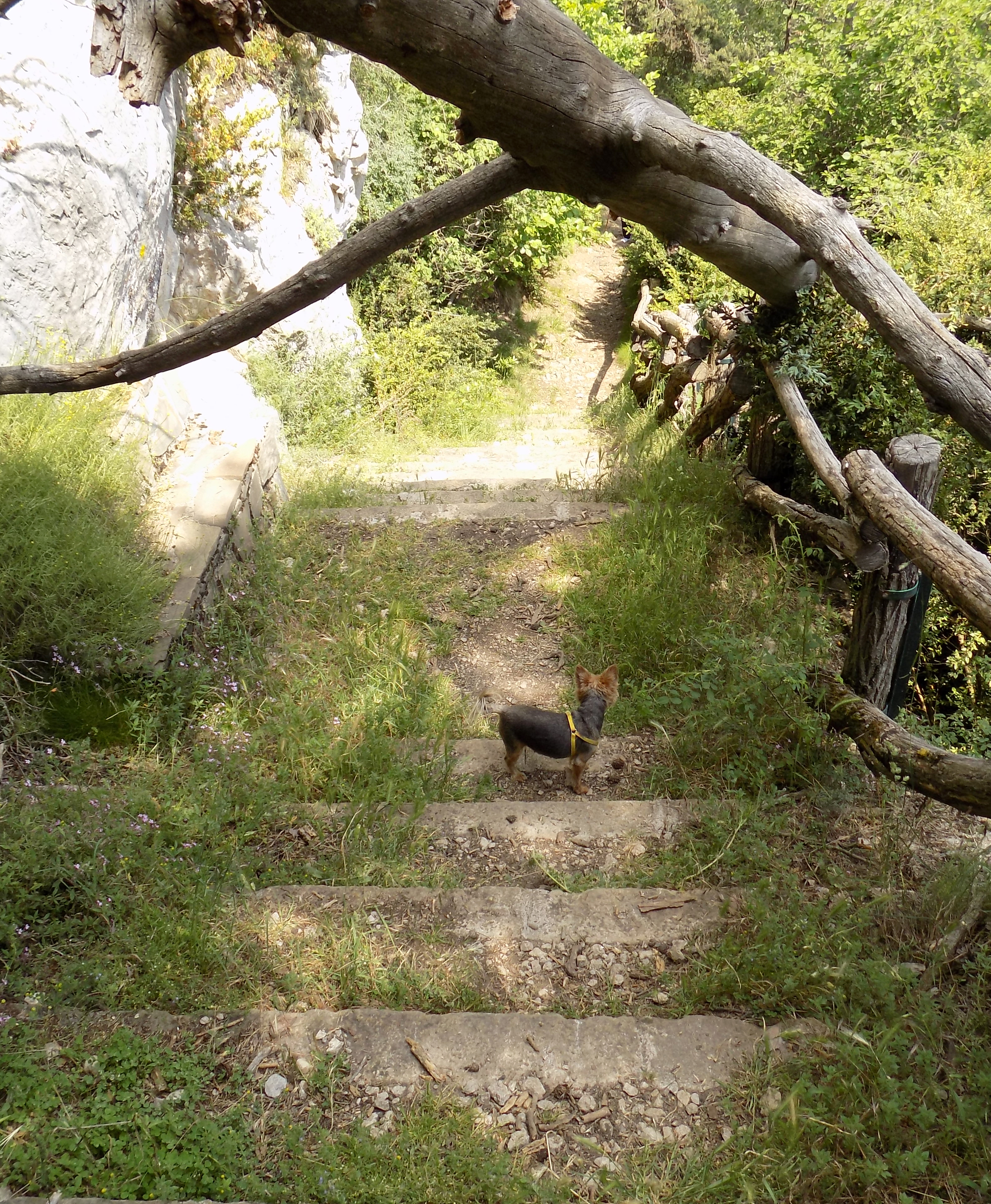 Pujant al mirador