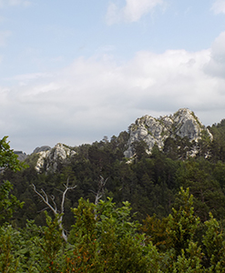 El Catllaràs